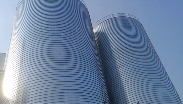 瓯海2座混凝土高架卷板仓